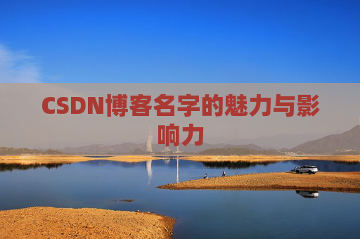 CSDN博客名字的魅力与影响力